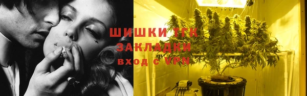 прущие грибы Нефтекумск