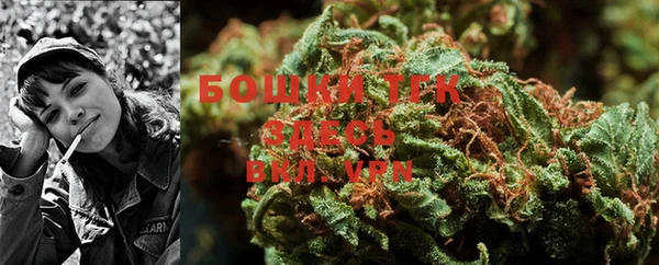 соль курить ск Новодвинск