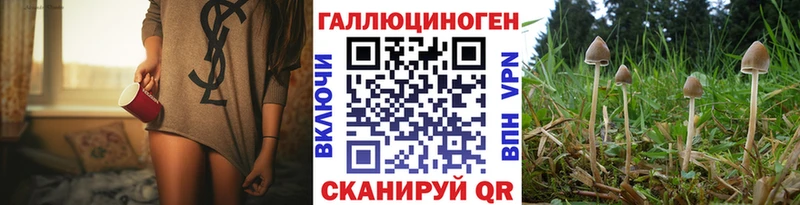 купить наркотик  Кукмор  ссылка на мегу ТОР  Галлюциногенные грибы мицелий 